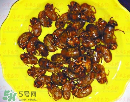 知了猴能淹死嗎？知了猴哪個(gè)部位不能吃？