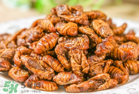 蟬蛹可以多吃嗎？蟬蛹多吃會(huì)怎么樣？