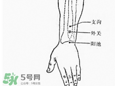 三伏貼能治過敏性鼻炎嗎？三伏貼治過敏性鼻炎貼哪里？