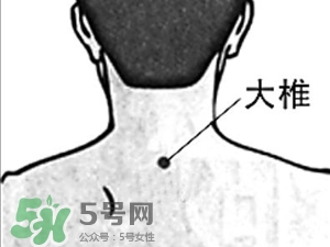 三伏貼能治過敏性鼻炎嗎？三伏貼治過敏性鼻炎貼哪里？