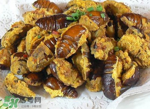 水煮蟬蛹怎么做？蟬蛹煮多久可以熟？
