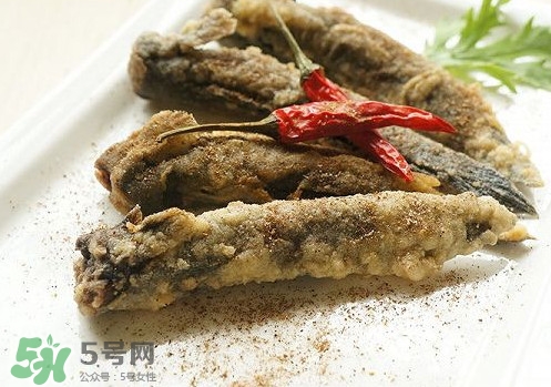 彈涂魚(yú)是兩棲動(dòng)物嗎？彈涂魚(yú)營(yíng)養(yǎng)價(jià)值有哪些