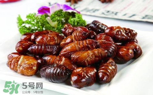蟬蛹里面黑色的能吃嗎？蟬蛹是怎么形成的