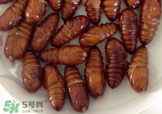 蟬蛹吃什么部位？蟬蛹都有哪些營(yíng)養(yǎng)價(jià)值
