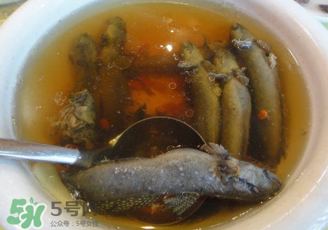 跳跳魚多少錢一斤？跳跳魚是淡水魚嗎？