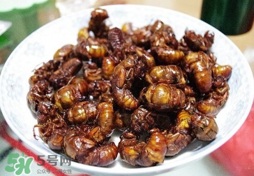 蟬蛹什么人不能吃？蟬蛹不能和什么一起吃