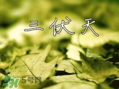 三伏天怎么坐月子？三伏天坐月子要注意什么？
