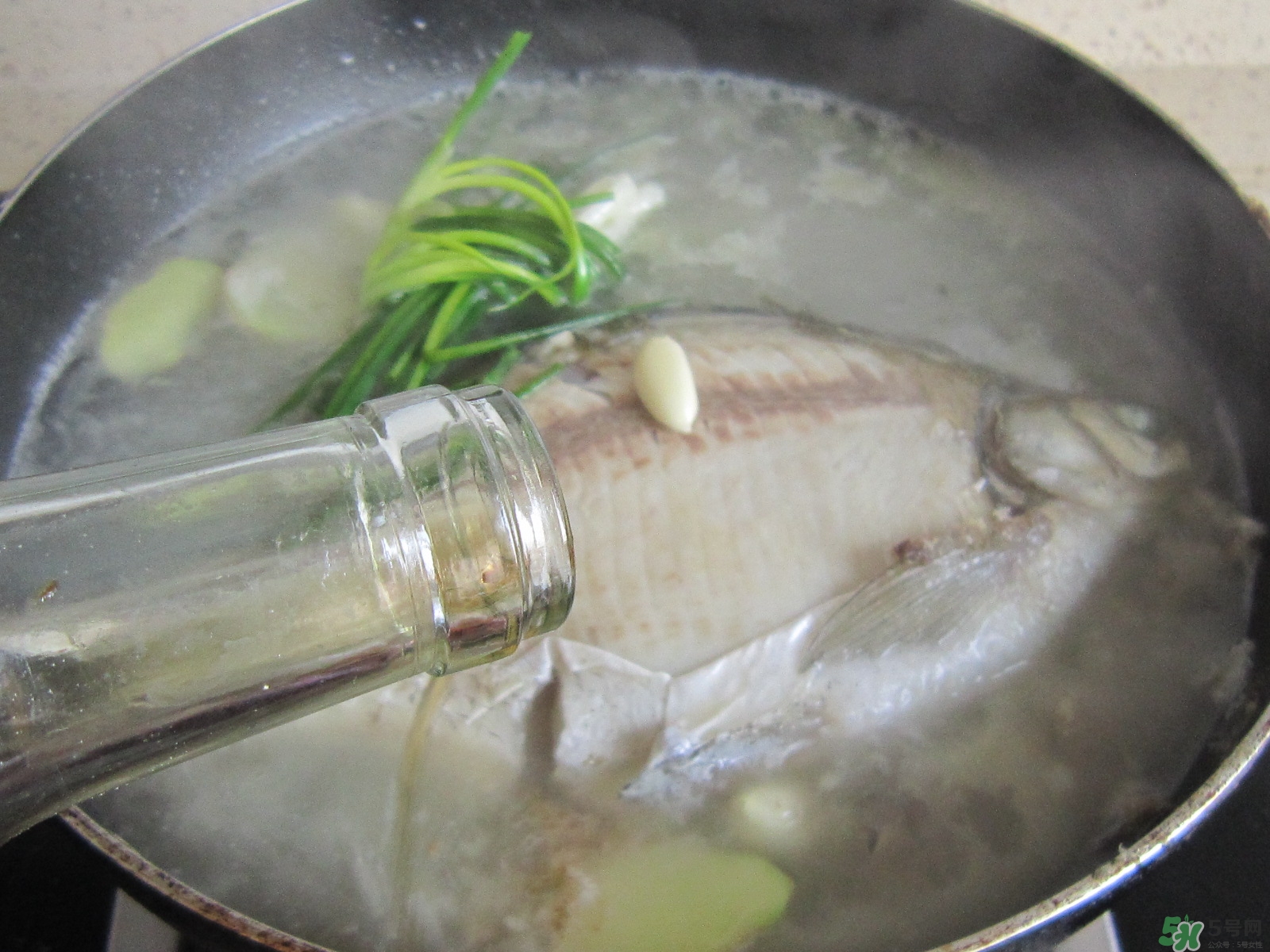 三伏灸可以吃魚嗎？三伏灸可以吃什么魚？