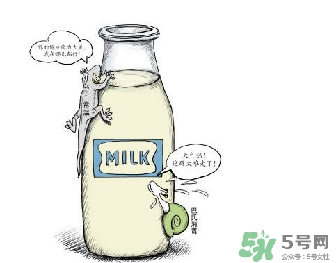 巴氏奶可以加熱嗎？巴氏奶常溫能放多久