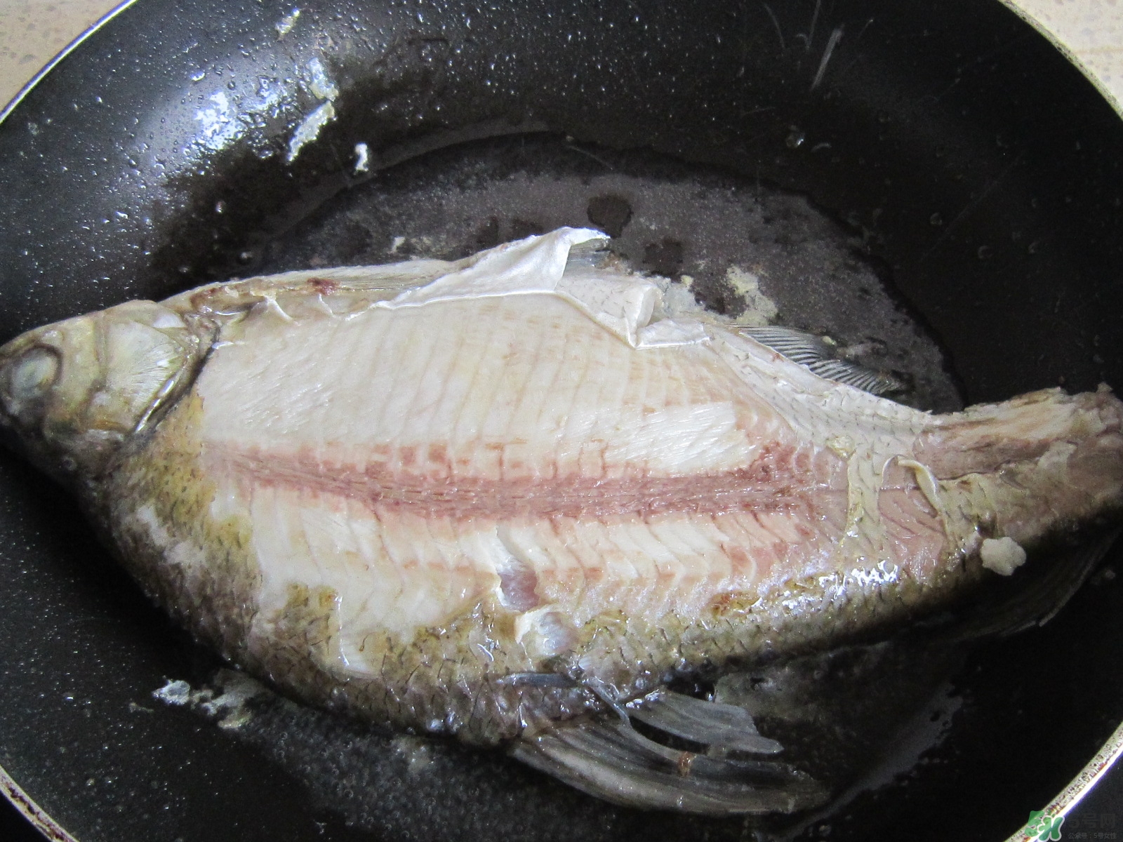 三伏灸可以吃魚嗎？三伏灸可以吃什么魚？