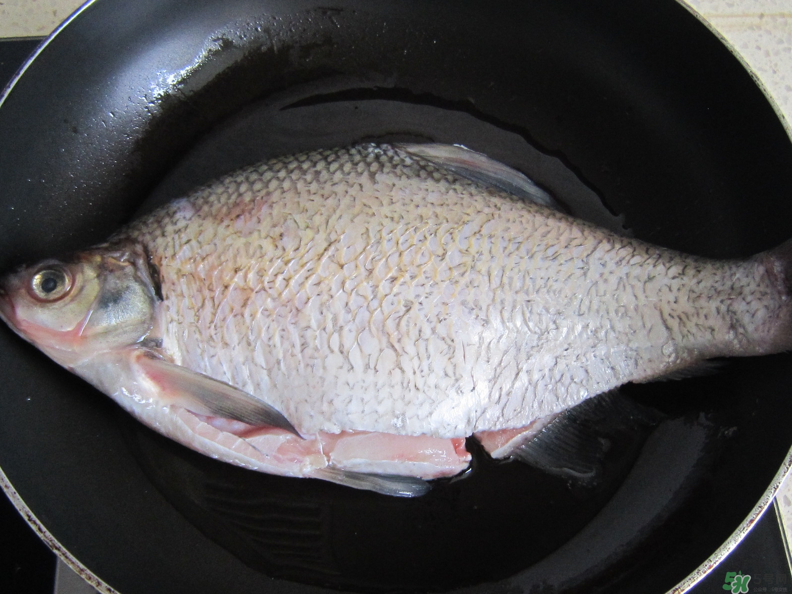 三伏灸可以吃魚嗎？三伏灸可以吃什么魚？