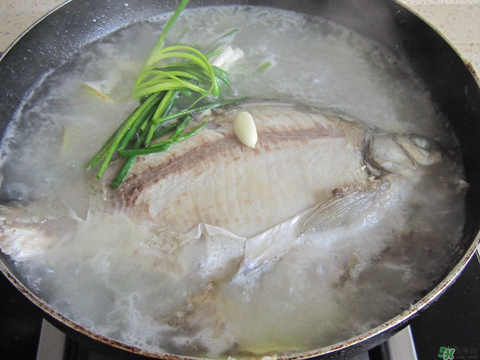 三伏灸可以吃魚嗎？三伏灸可以吃什么魚？