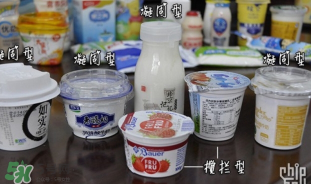 什么牌子的酸奶好？每天喝酸奶好還是純牛奶好