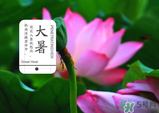 大暑和處暑是什么意思？大暑熱還是處暑熱？