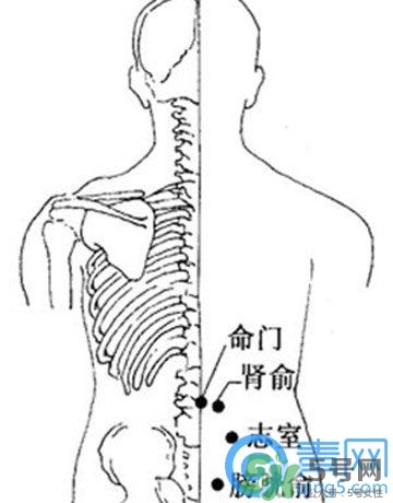 三伏灸可以治腰腿痛嗎？三伏灸治腰腿痛灸哪里》