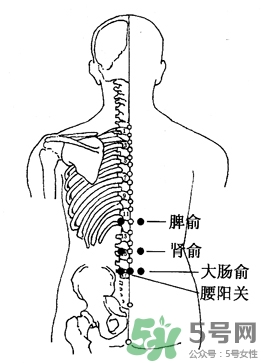 三伏灸可以治腰腿痛嗎？三伏灸治腰腿痛灸哪里》