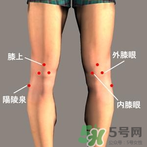 三伏灸可以治腰腿痛嗎？三伏灸治腰腿痛灸哪里》