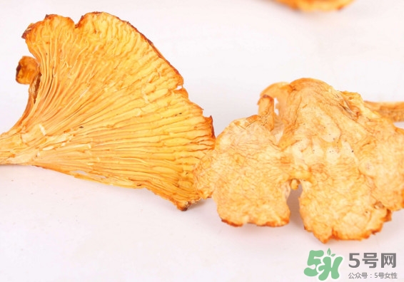 雞油菌多少錢一斤？雞油菌和雞樅菌有什么區(qū)別