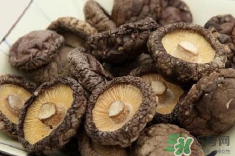 香菇是蘑菇嗎？香菇和蘑菇有什么區(qū)別
