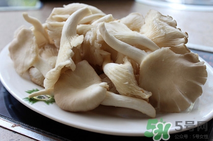 平菇怎么吃最有營養(yǎng)？平菇長白毛還能吃嗎