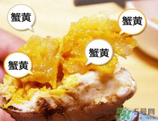 六月黃大閘蟹好吃嗎？六月黃和大閘蟹有什么區(qū)別？