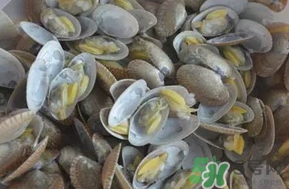 花蛤蜊什么時(shí)候最肥？花蛤蜊怎么挑選