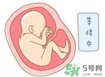 胎位不正能順產(chǎn)嗎？胎位不正怎么辦？