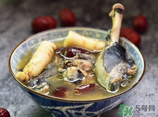 三伏天可以吃人參嗎？三伏天吃人參好嗎？