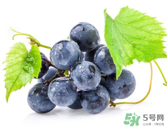 夏黑葡萄為什么掉色？夏黑葡萄怎么會(huì)染色？