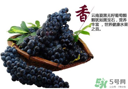 夏黑葡萄怎么保存？夏黑葡萄可以放冰箱嗎？