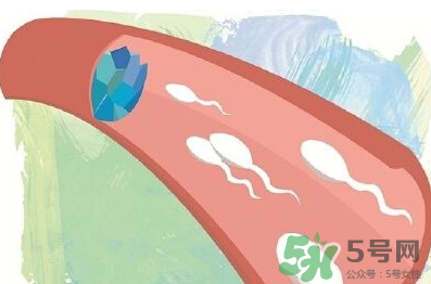 男性避孕藥什么牌子好？男性避孕藥多少錢一盒？