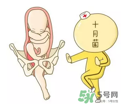 胎位不正能順產(chǎn)嗎？胎位不正怎么辦？