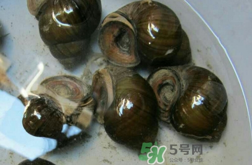 田螺里面都可以吃嗎？田螺不能和什么同食