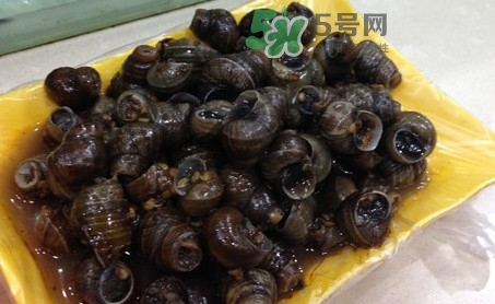 田螺什么時候吃最好？田螺什么季節(jié)吃
