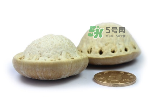 風流果泡酒要不要敲碎？壯陽果泡水要不要敲碎？