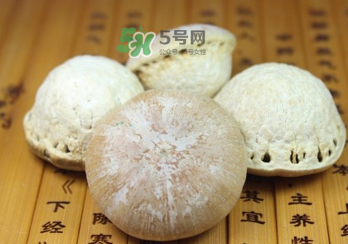 風流果泡酒要不要敲碎？壯陽果泡水要不要敲碎？