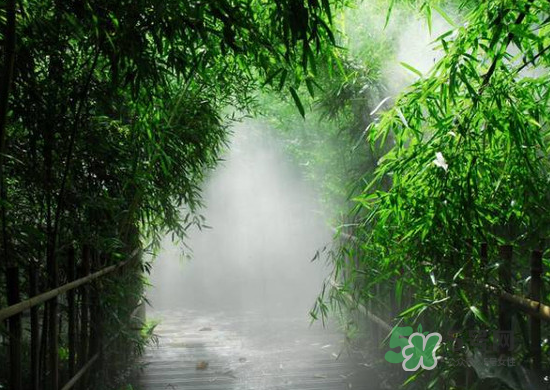 2017大暑會不會下雨？2017大暑下雨好嗎？