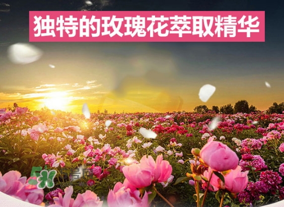 資生堂玫瑰園沐浴露怎么樣？資生堂玫瑰園沐浴露多少錢