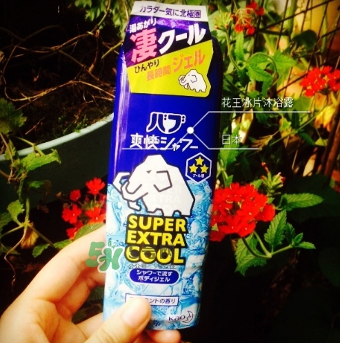 花王kao冰片沐浴露怎么樣？花王冰片沐浴露哪款好？