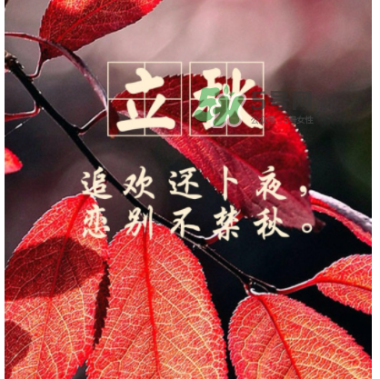 立秋后就是秋天了嗎？立秋后就涼快了嗎？