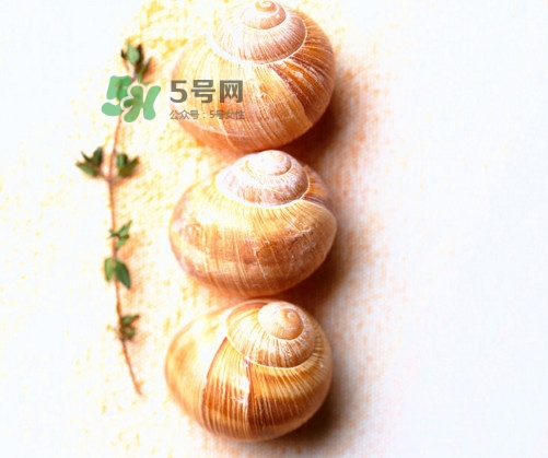 田螺是寒性的嗎？田螺煮多久殺死寄生蟲