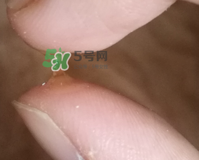 SKINCEUTICALS修麗可夜間精華怎么樣_好用嗎？