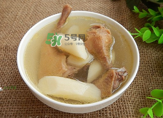 三伏天能吃鴿子嗎？三伏天能喝鴿子湯嗎？