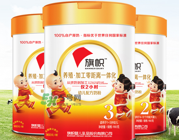 旗幟奶粉怎么樣？旗幟奶粉好不好？