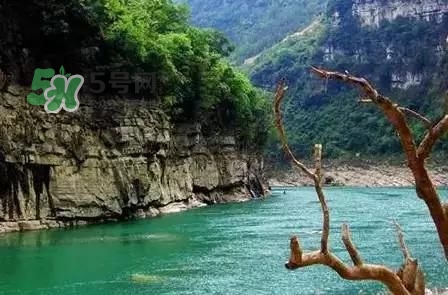 漂流需要準備什么東西？漂流哪里最好玩？