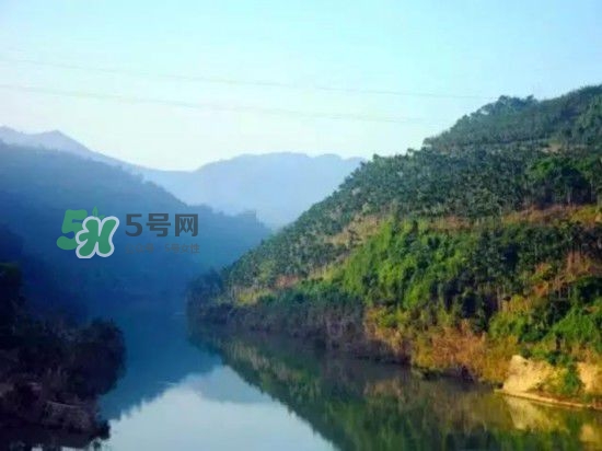 漂流需要準備什么東西？漂流哪里最好玩？