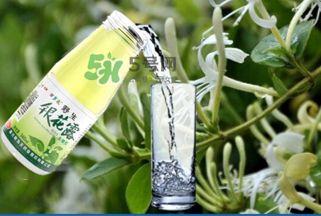 金銀花露可以冷藏嗎？金銀花露能放冰箱嗎？