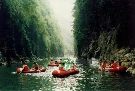 漂流需要準備什么東西？漂流哪里最好玩？