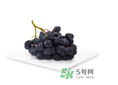 黑提有籽嗎？黑提是什么季節(jié)的水果
