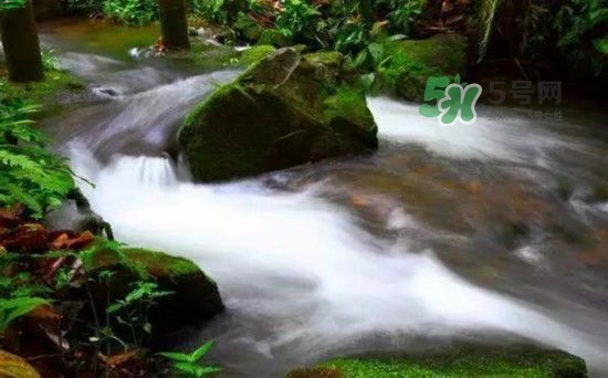 漂流需要準備什么東西？漂流哪里最好玩？